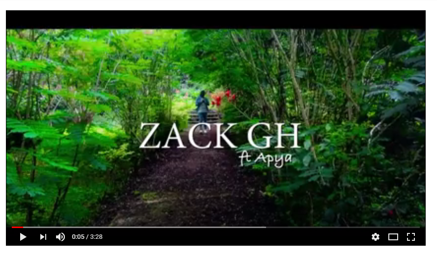 Zack Gh ft. Apya - Quick To Judge(Official Video)