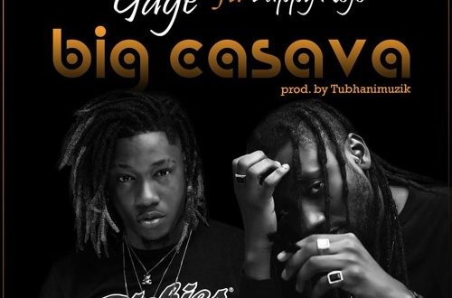 DOWNLOAD MP3 : Dahlin Gage ft. Pappy Kojo - Big Cassava ...