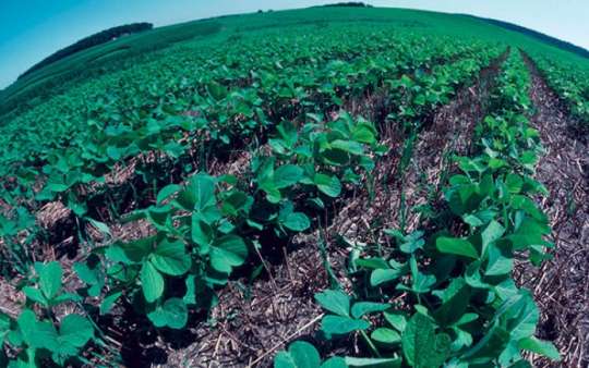 Somalia youth promote climate-smart farming to contain hunger crisis ...